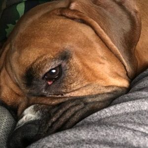 Meet your Posher, Nick